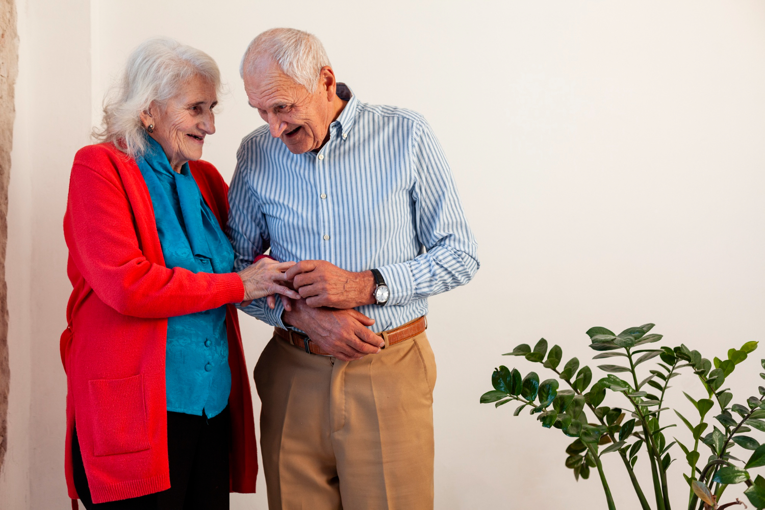 Reverse Mortgages NSW: Loan Scenario of the Week (10/11/2023)